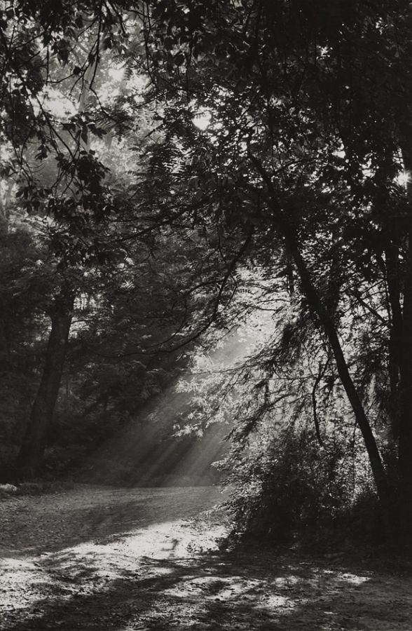 Along Wissahickon Creek, Philadelphia, 1966, 35-18-6-1, 9x13 Gelatin SIlver Print 