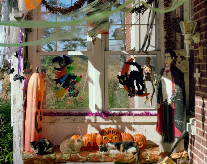Celebrating Sarah—Halloween, 20-1310-07, Archival Pigment Print—8x10, 16x20, 32x40, 40x50
