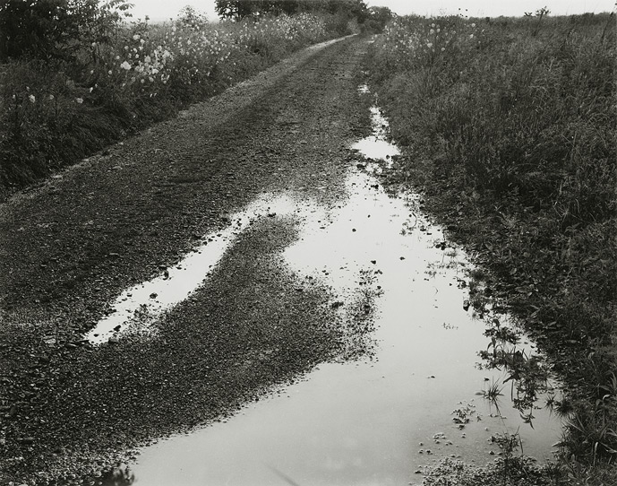 Near Frenchtown,New Jersey, 1968, 61-6808-03, 8"x10" gelatin silver chloride contact print