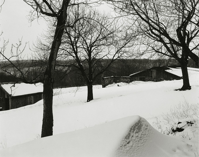 Near Frenchtown, New Jersey, 1970, 1-7002-03, 8x10 gelatin silver chloride contact print