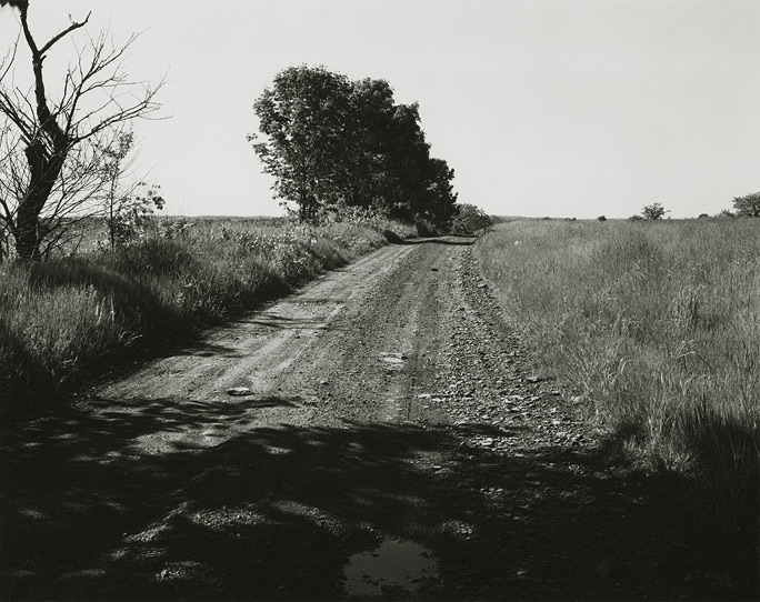 Near Frenchtown, New Jersey, 1971, 81-7108-02, 8x10 gelatin silver chloride contact print