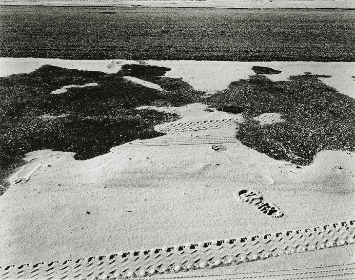Island Beach State Park, New Jersey, 1972, 81-7201-01, 8x10 gelatin silver chloride contact print