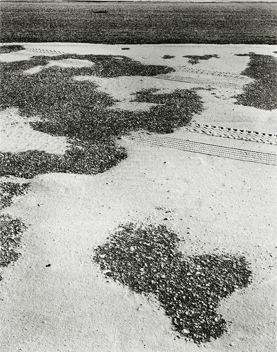 Island Beach State Park, New Jersey, 1972, 81-7201-02, 8x10 gelatin silver chloride contact print