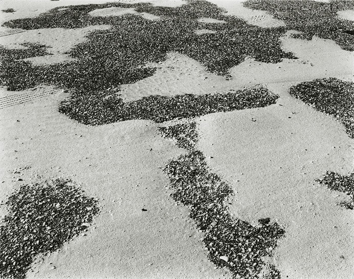 Island Beach State Park, New Jersey, 1972, 81-7201-03, 8x10 gelatin silver chloride contact print