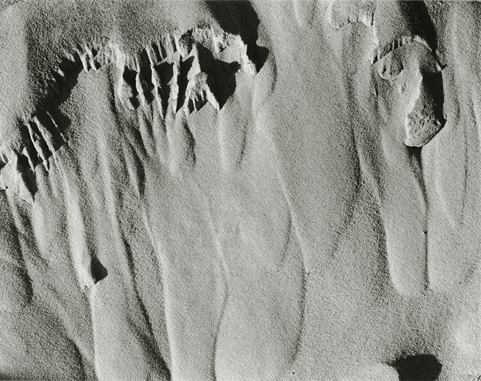 Island Beach State Park, New Jersey, 1972, 81-7201-04, 8x10 gelatin silver chloride contact print