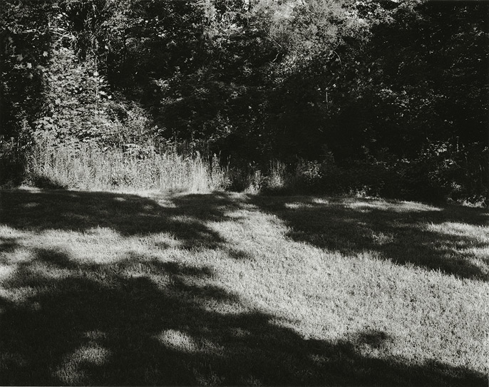 Near Frenchtown, New Jersey, 1972, , 8x10 gelatin silver chloride contact print