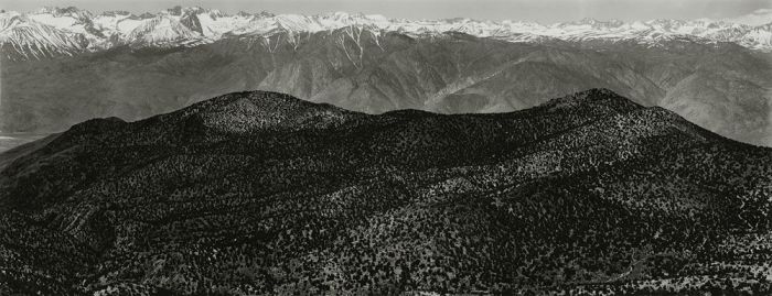 From Bristlecone Pine National Monument, California, 1982, 82-8205-38, 8"x20" gelatin silver chloride contact print