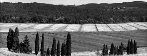 Plate 17 Near Sinalunga