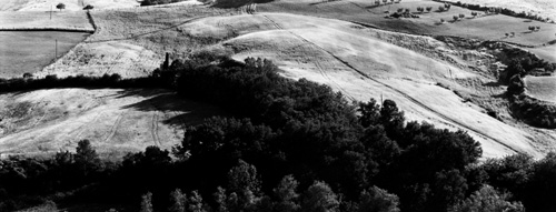 Plate 24 Near Montepulciano