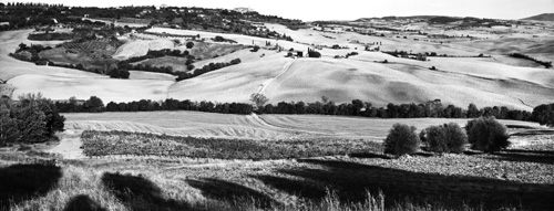 Plate 25 Near Pienza