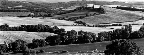 Plate 26 Near San Leonino