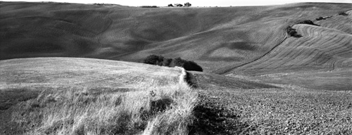 Plate 35 Near San Quirico Val d'Orcia