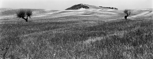 Plate 57 Val d'Orcia, near San Piero in Campo